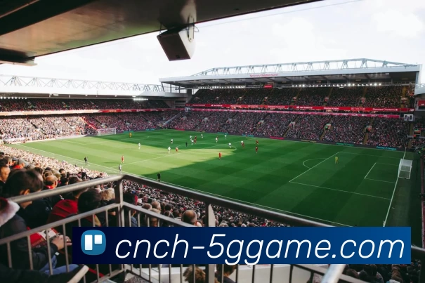 5G电子模拟器官网平台生态图